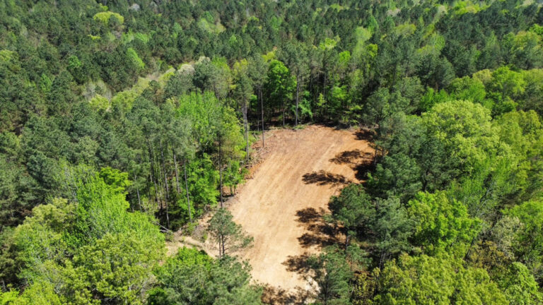 DCIM101MEDIADJI_0748