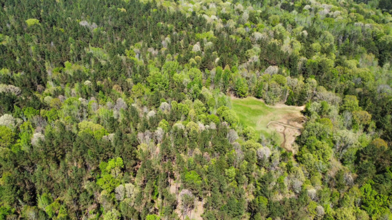 DCIM101MEDIADJI_0750