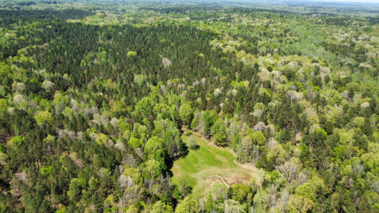 DCIM101MEDIADJI_0751