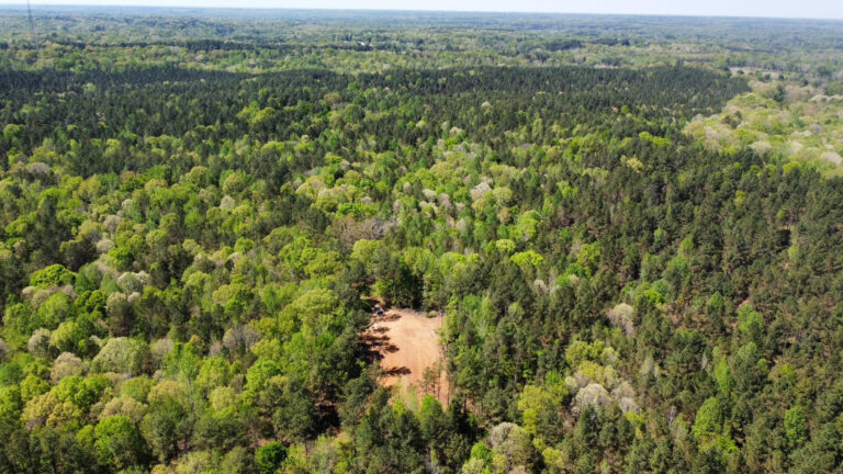 DCIM101MEDIADJI_0752