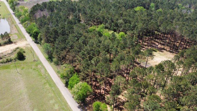 DCIM102MEDIADJI_0396