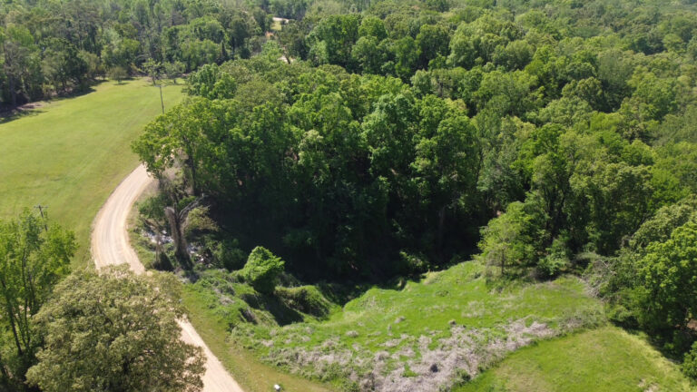 DCIM102MEDIADJI_0402