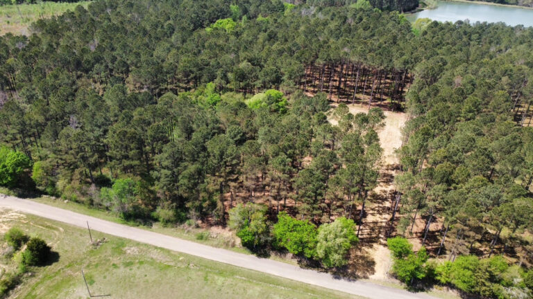 DCIM102MEDIADJI_0397