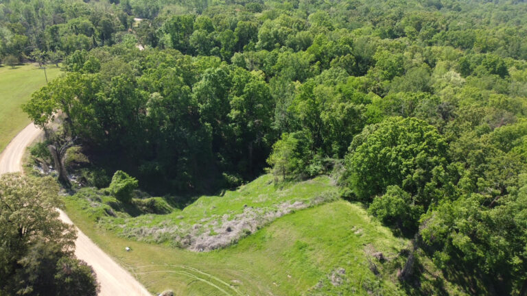 DCIM102MEDIADJI_0398