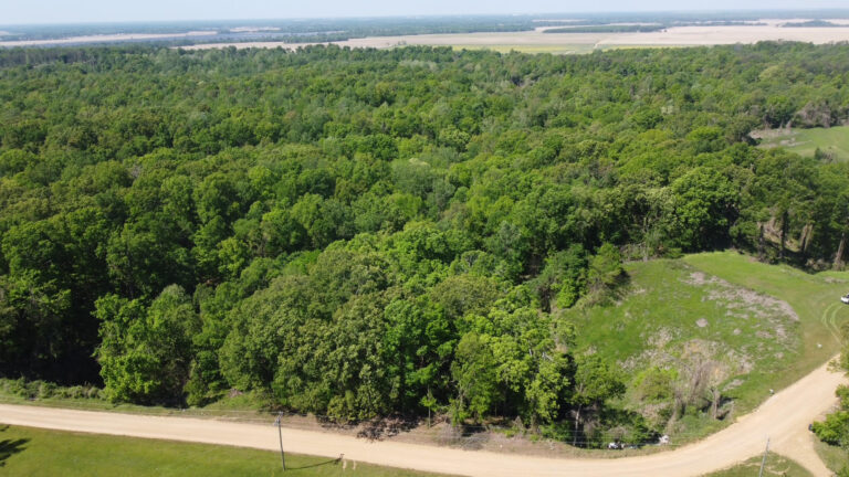 DCIM102MEDIADJI_0399