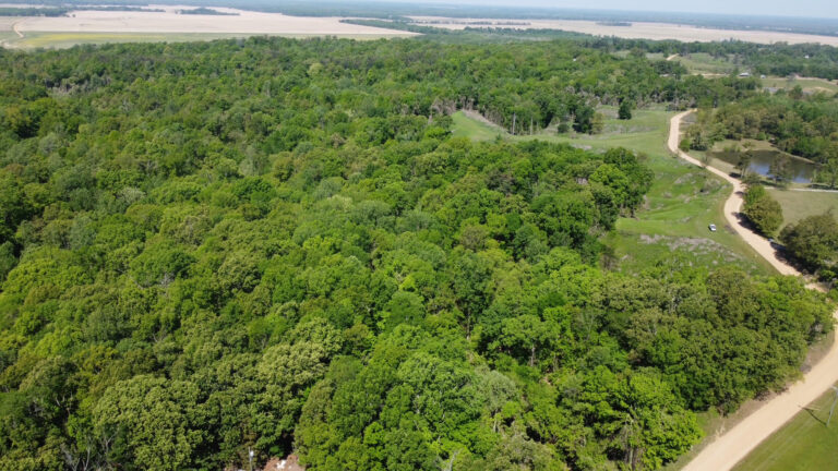 DCIM102MEDIADJI_0400