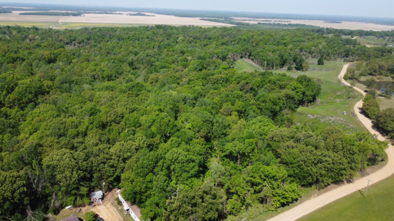 DCIM102MEDIADJI_0401