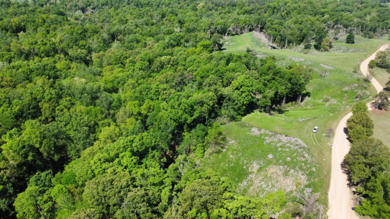 DCIM102MEDIADJI_0407