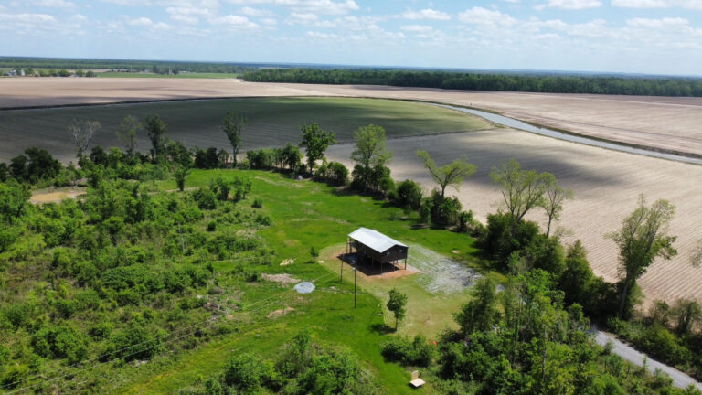 DCIM102MEDIADJI_0424