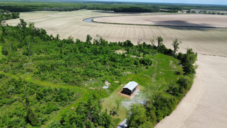 DCIM102MEDIADJI_0428