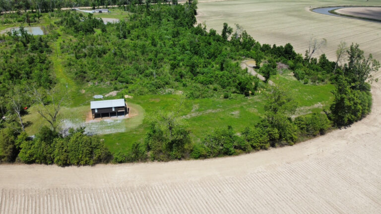 DCIM102MEDIADJI_0429