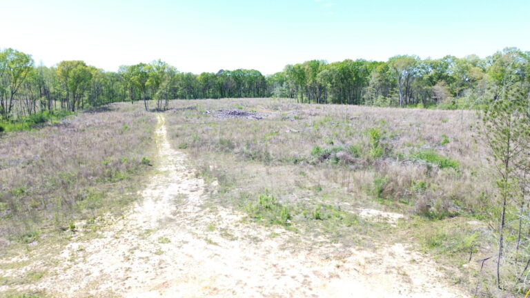 DCIM100MEDIADJI_0589