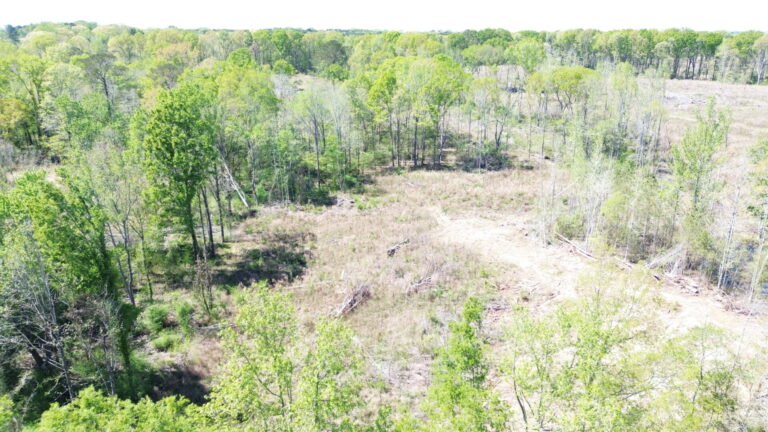 DCIM100MEDIADJI_0591