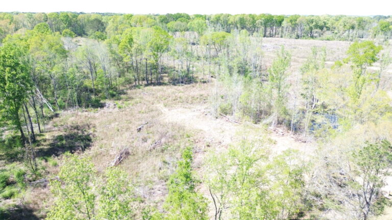 DCIM100MEDIADJI_0592