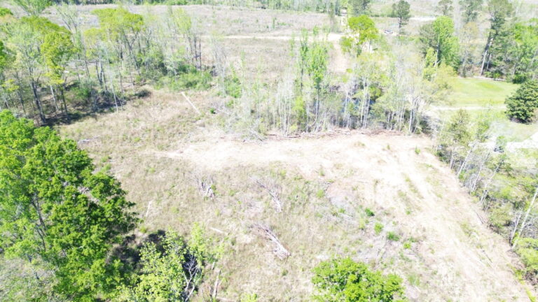 DCIM100MEDIADJI_0594