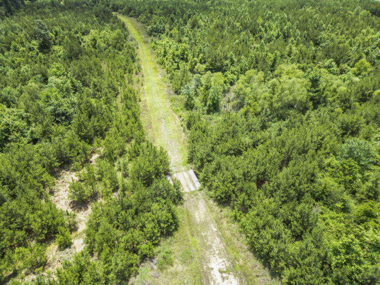 11281 Hwy 21 Drone_jhookphotos-10