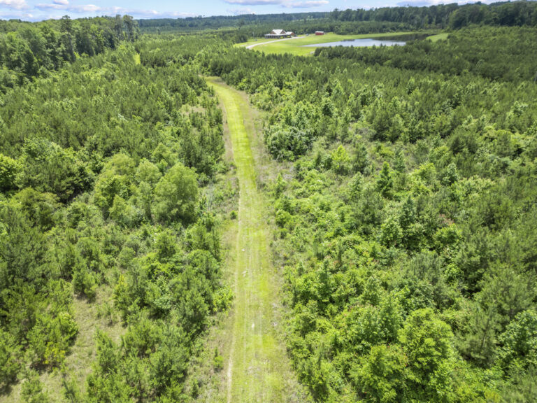 11281 Hwy 21 Drone_jhookphotos-11