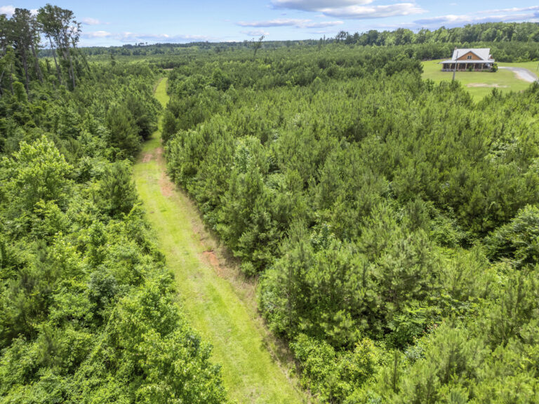 11281 Hwy 21 Drone_jhookphotos-13