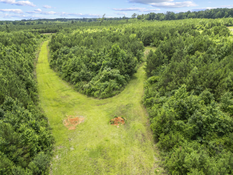 11281 Hwy 21 Drone_jhookphotos-15