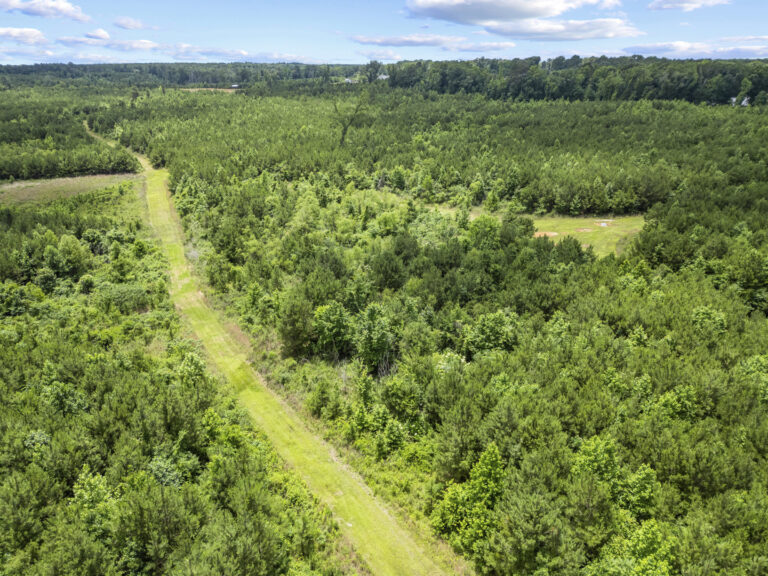 11281 Hwy 21 Drone_jhookphotos-16