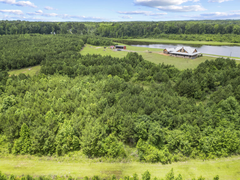 11281 Hwy 21 Drone_jhookphotos-17