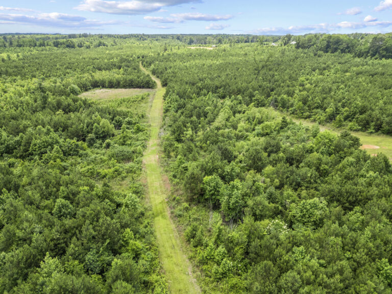 11281 Hwy 21 Drone_jhookphotos-18