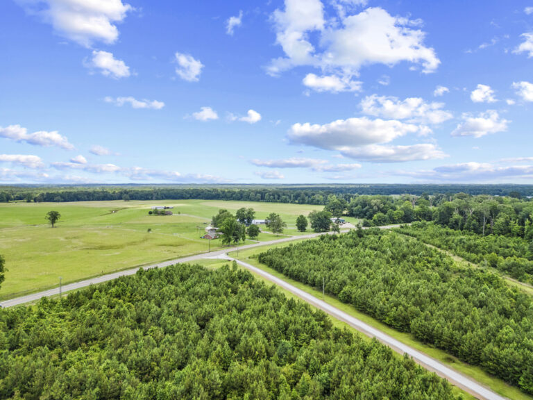 11281 Hwy 21 Drone_jhookphotos-5