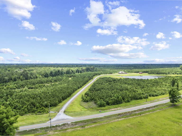 11281 Hwy 21 Drone_jhookphotos-7