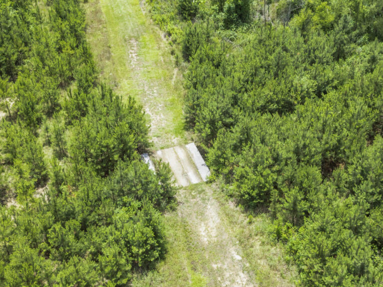11281 Hwy 21 Drone_jhookphotos-9