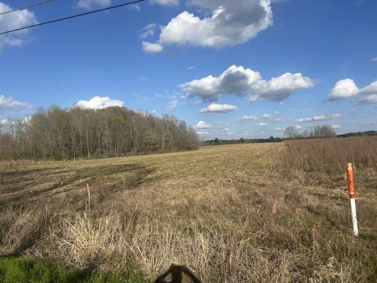 Old Hillsboro Road Property photo