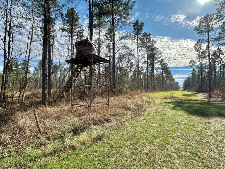 626