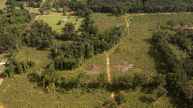DJI_0078