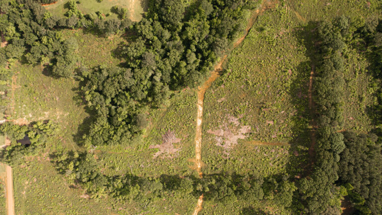 DJI_0081