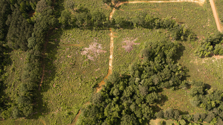 DJI_0083-2