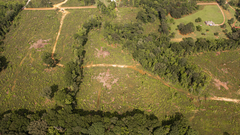 DJI_0085