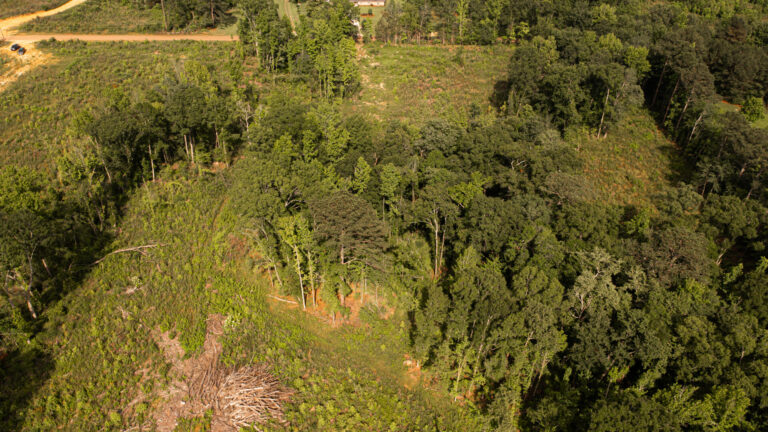 DJI_0087