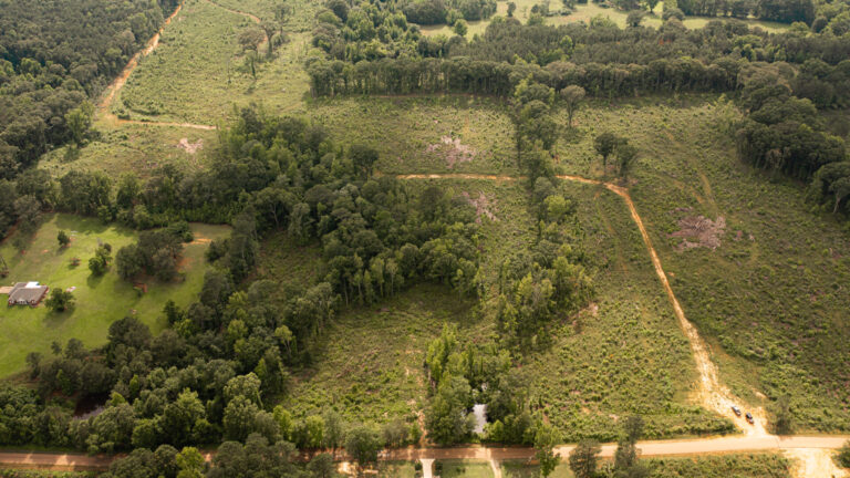 DJI_0089