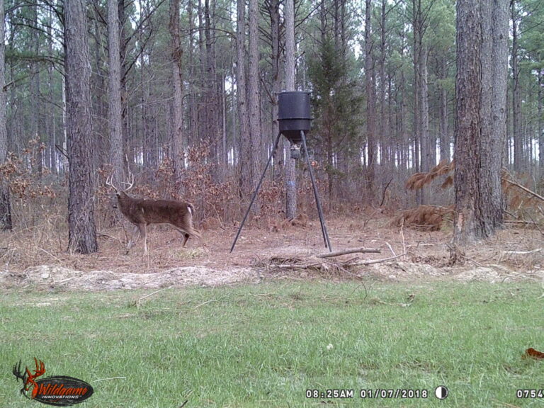 WGI_0754