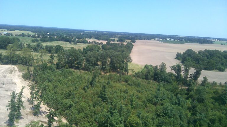 PHOTO_000020