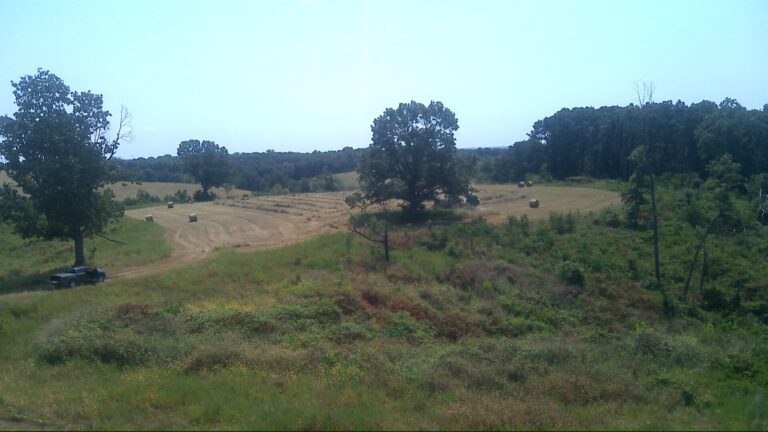 PHOTO_000024