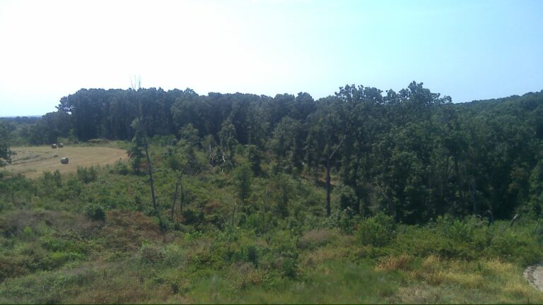 PHOTO_000025