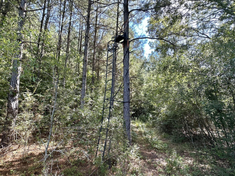 10 (17)