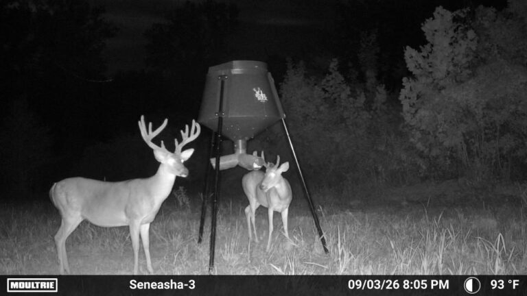 MOULTRIE DIGITAL CAMERA