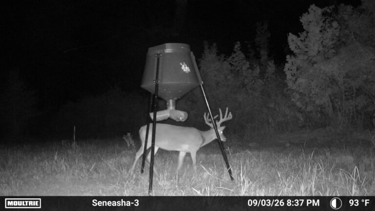 MOULTRIE DIGITAL CAMERA
