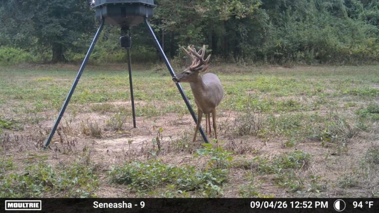 MOULTRIE DIGITAL CAMERA