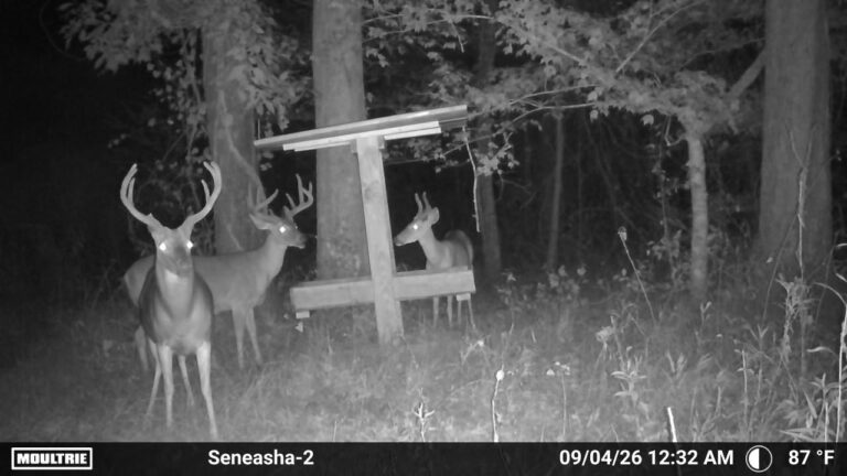 MOULTRIE DIGITAL CAMERA