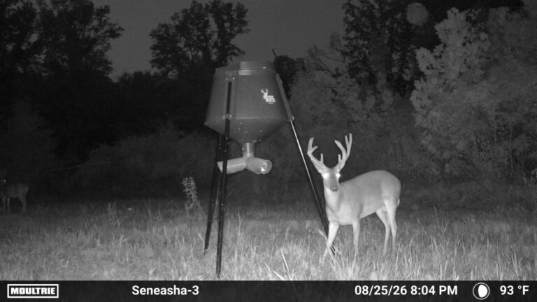 MOULTRIE DIGITAL CAMERA