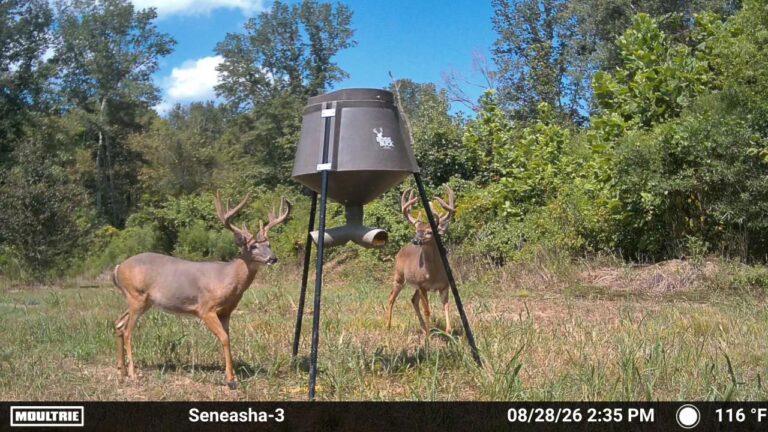 MOULTRIE DIGITAL CAMERA