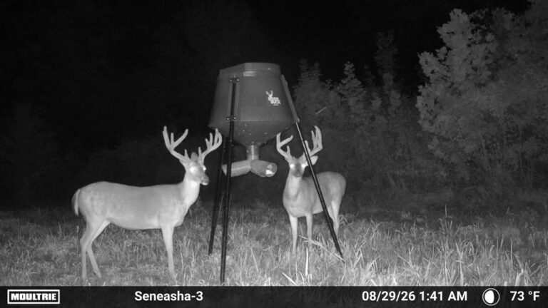 MOULTRIE DIGITAL CAMERA