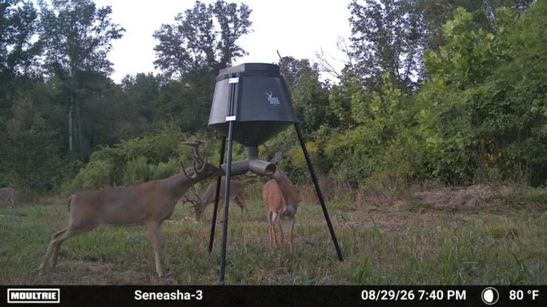 MOULTRIE DIGITAL CAMERA